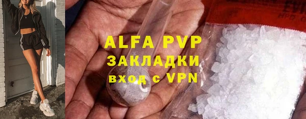 PSILOCYBIN Вязьма