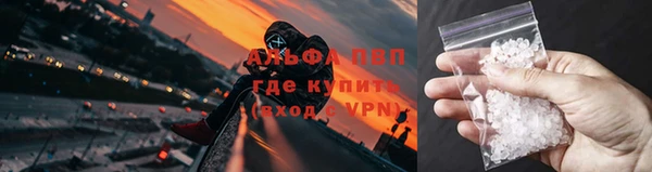 PSILOCYBIN Вязьма