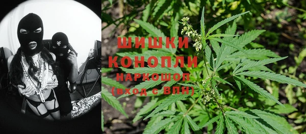 PSILOCYBIN Вязьма