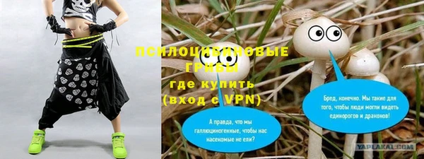 Альфа ПВП Вяземский