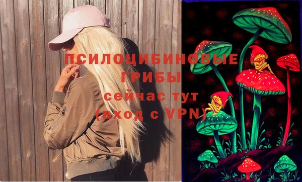 сатива Вязники