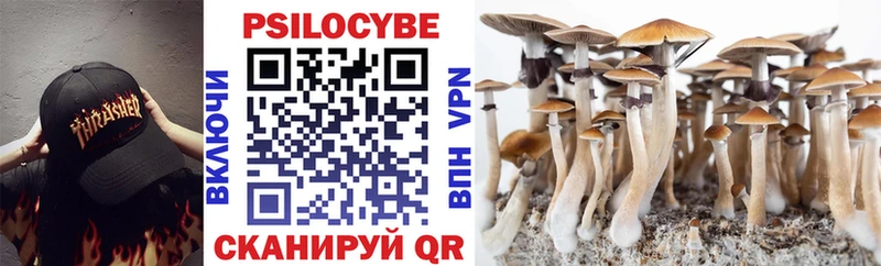 Псилоцибиновые грибы Psilocybine cubensis  Майкоп 